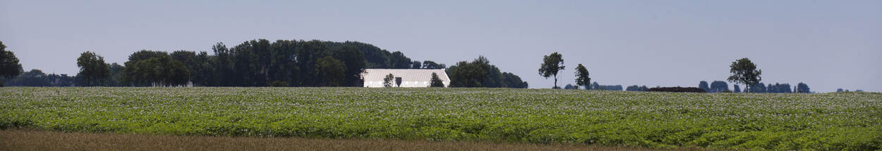 Boerderij in Gronings landschap